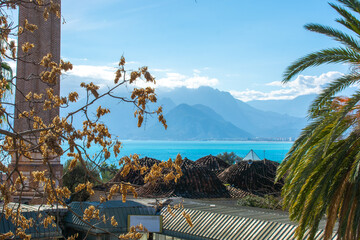 Fototapete bei efototapeten.de bestellen   