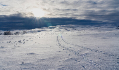 ski tracks in the mountains