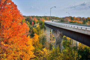 Highway bridge over the valley with autumn leaf colour