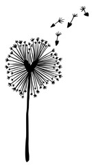 Abstract doodled vector dandelion flower with heart shaped middle and flying seeds.