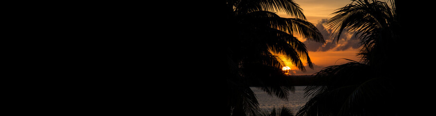 Sunset through palm tree silhouette. Long banner