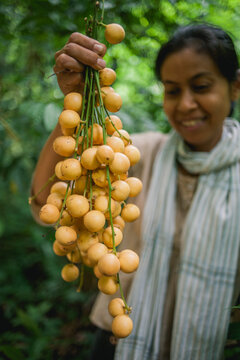 Wild fruits