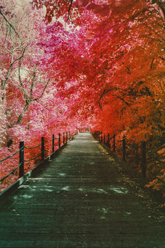 DMV in Infrared