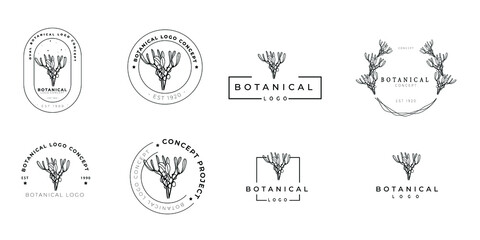 Hand drawn minimal flower logo feminine botanical organic logo design