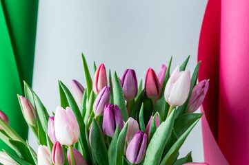 Beautiful Bunch of Colorful Classic Tulips in the Vase on pink background, spring holiday concept