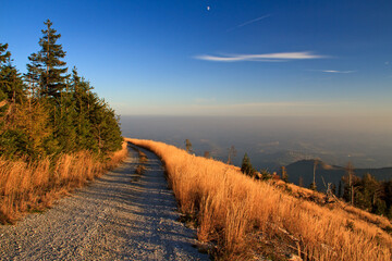 Idyllic mountain gravel road in beautiful evening light