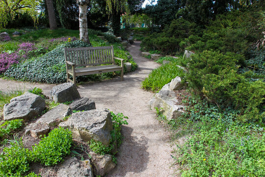 Veronica teucrium and other plants and stones   on  small slope (famous landscape designer living 1870-1970)