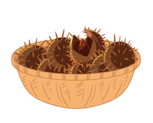 籠に入れた栗　線無し