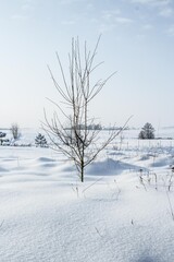 Fototapeta na wymiar Snow-covered landscape after heavy snowfall, snowstorm in Europe and very low temperature during winter 2021