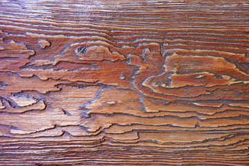 A fragment of a old wooden plank