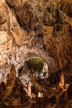 Carlsbad Caverns National Park, New Mexico