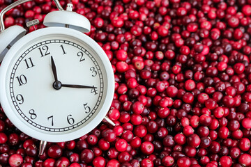 White alarm clock with ripe fresh cranberries as natural, healthy food, berries, time for vitamins background. Selective focus.