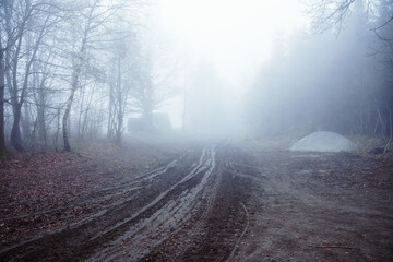 Schlammige Forstwege im Nebelwald