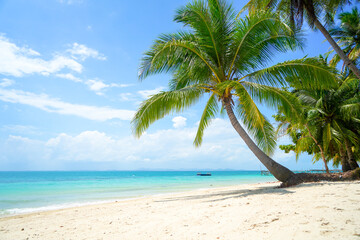 Naklejka na ściany i meble Tropical sea beach with sand and coconut tree in Bangka Belitung. Isolated island clear blue sky background. Ketawai Island