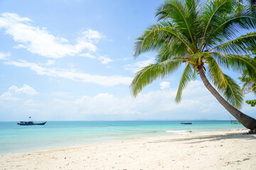 Naklejka na ściany i meble Tropical sea beach with sand and coconut tree in Bangka Belitung. Isolated island clear blue sky background. Ketawai Island