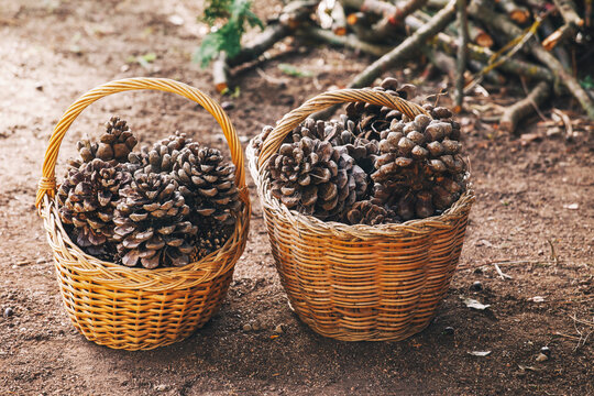 Two wicker basket full of pine cones.
