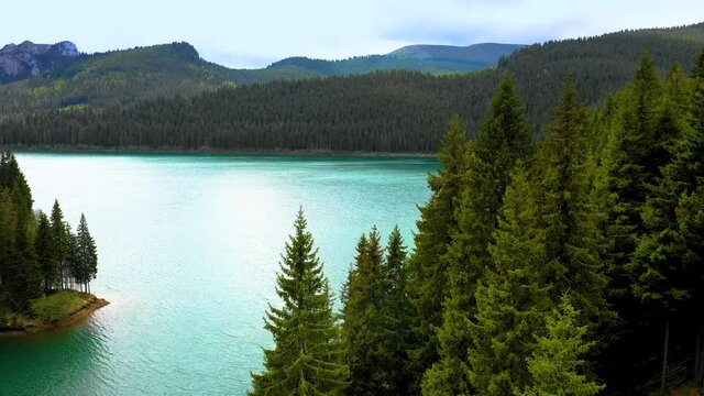 Turquoise water in a mountain forest lake with pine trees. Aerial view of blue lake and green forests. View on the lake between mountain forest. Over crystal clear mountain lake water. Fresh water 