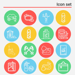 16 pack of powder  lineal web icons set