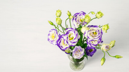 Bouquet of ranunculus or buttercup blue in glass vase, nice top view. Banner photo with space for your greeting with Mother's day or Valentine's day.