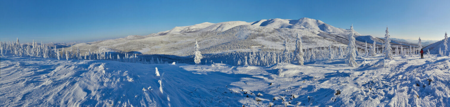 A view from the top of the pass to the slopes with snow-covered larch trees in severe frost. Winter. Kolyma. Magadan Region. Panorama