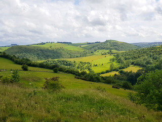 Naklejka premium landscape with hills