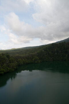 Jungle Lake