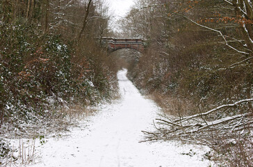 View looking down the Worth Way towards a brick road bridge crossing the bridleway near the village of Crawley Down in West Sussex, England, UK. Snow covers the path with snowy branches on either side