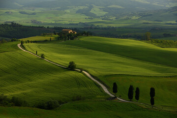Obraz premium Spring in Tuscany, the classical rural landscape of Tuscany with rolling hills and cypress trees