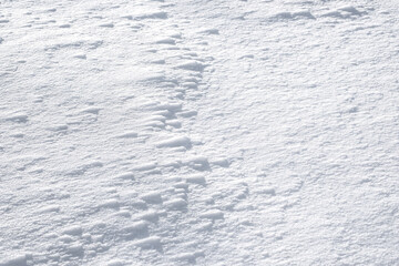 Sun shining on a snow background. White snowy ground. Nature in hibernation during winter.