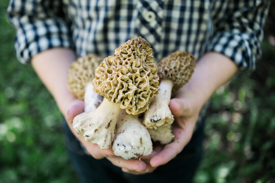 Holding Mushrooms