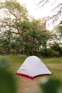 Red and white tents in a row