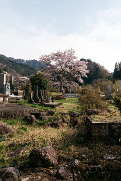 view of small traditional home in japanese village country side remote beautiful location