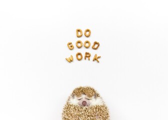 Do Good Work - Quote by Amelia Hedgehog