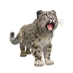 Snow Leopard standing with head up and mouth open. 3D illustration isolated on white.