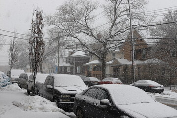 snow covered cars in the city