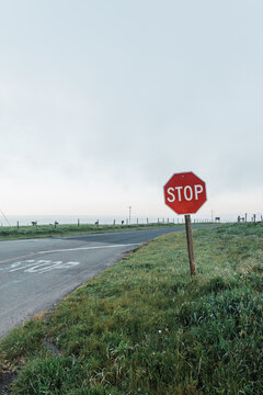 Stop sign in field beside road.
