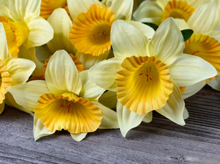 Obraz na płótnie Canvas Close up of a yellow daffodil made of cloth on aged wood