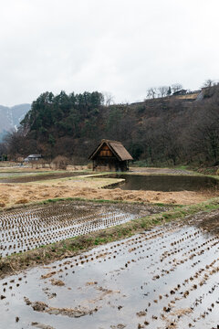 beautiful view of ncient traditional japanese country farm homes in shirakawa-go area