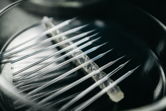 micro injection research