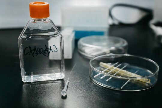 micro injection research