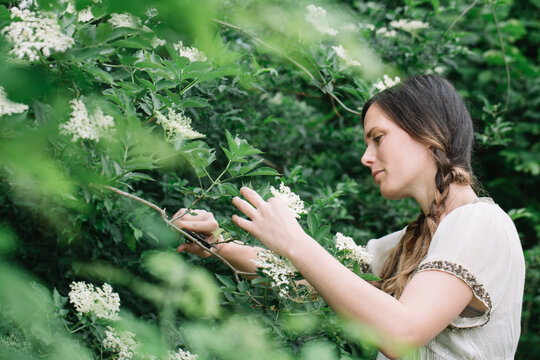 Woman cutting tree flowers