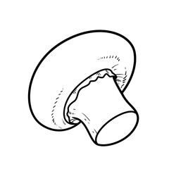 Mushroom champignon on the side linear drawing on white background