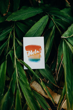Hola Invitation