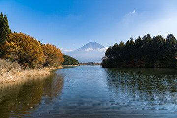 富士山　田貫湖　日中
