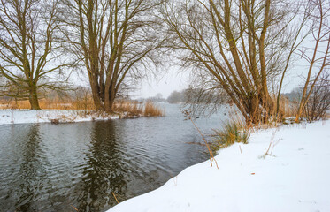 Snowy white edge of a cold lake in a field in wetland in winter, Almere, Flevoland, The Netherlands, February 8, 2020