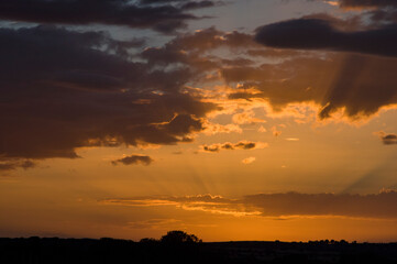 Dehesa, Cuatro Calzadas, Buenavista, Salamanca, Castilla y León, España