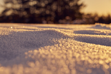 Snow in the foreground on a frosty winter evening at sunset as a backdrop and blurred forest on the background.