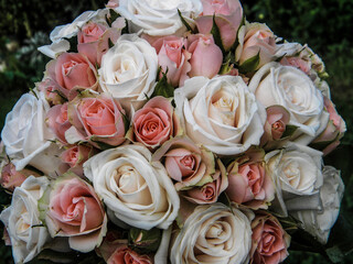 Wedding bouquet of pinkand white and pink roses.