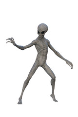 Grey Alien. 3D render isolated on white.