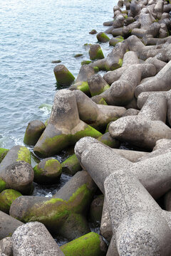 Tetrapods